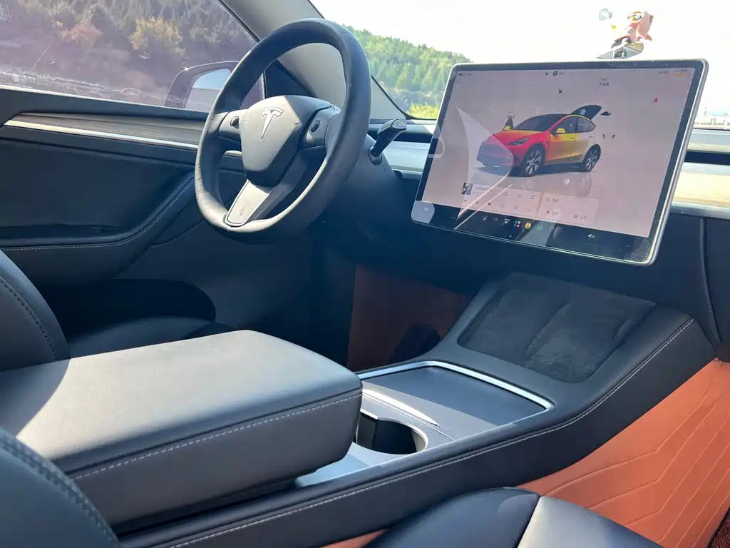 Tesla Model Y — фото 14
