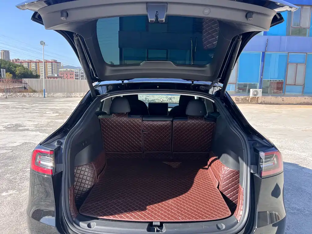 Tesla Model Y — фото 15
