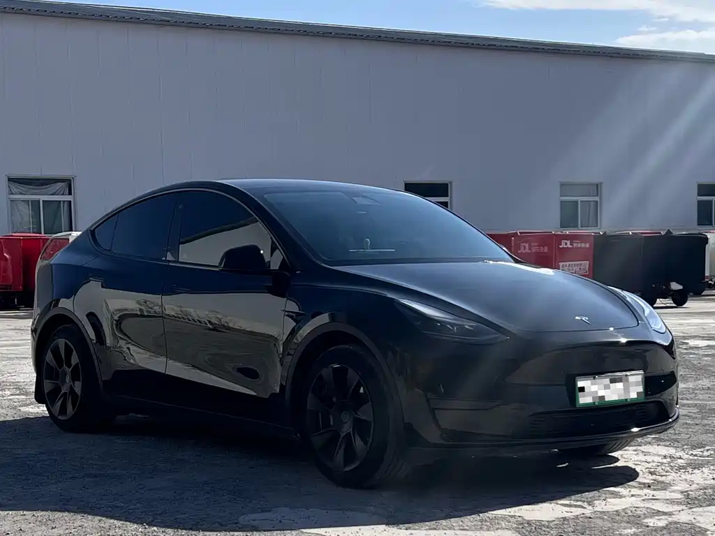 Tesla Model Y — фото 3