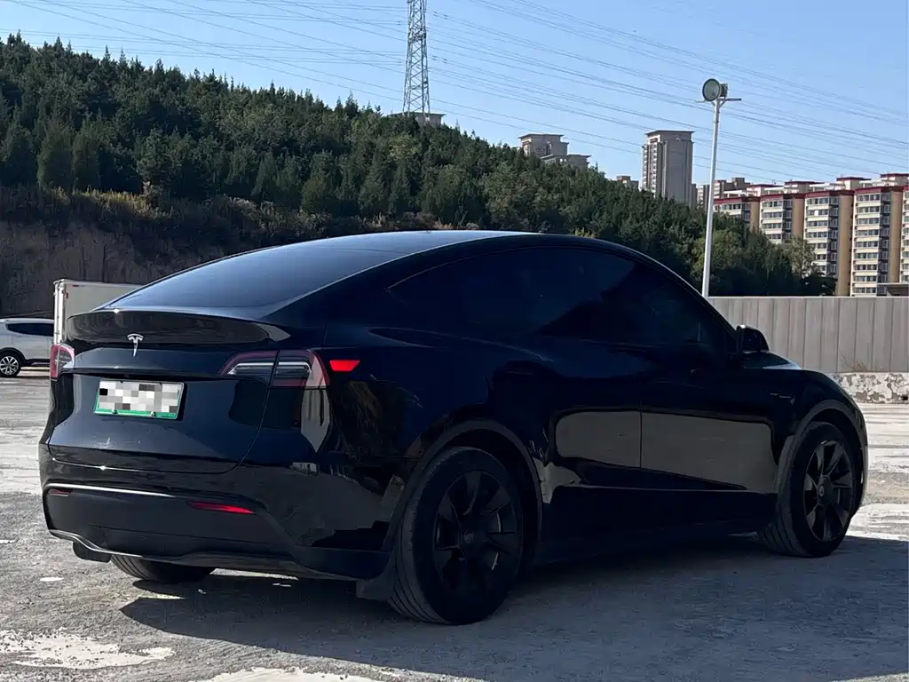 Tesla Model Y — фото 4