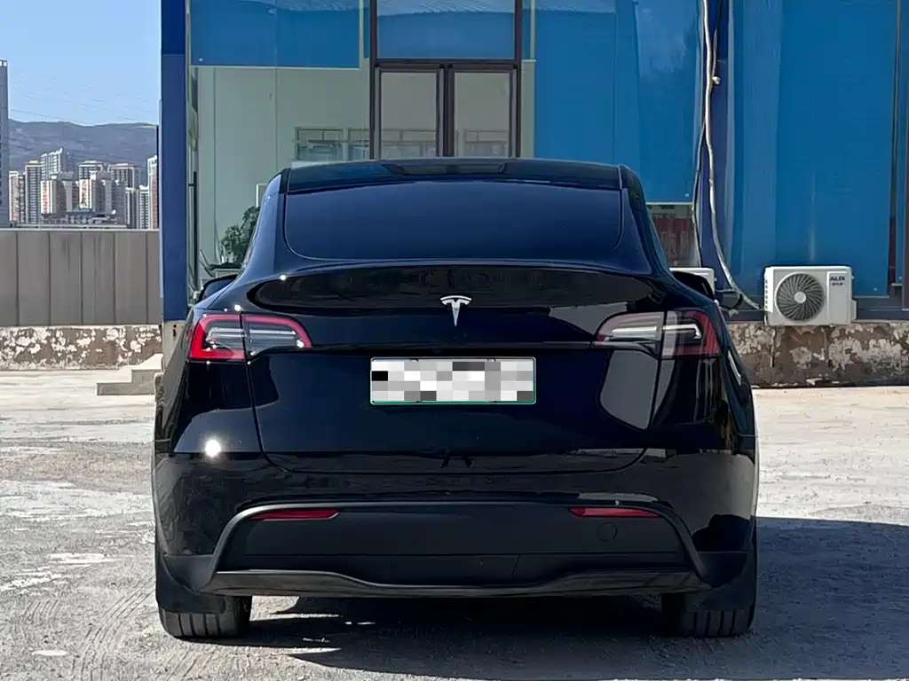 Tesla Model Y — фото 5