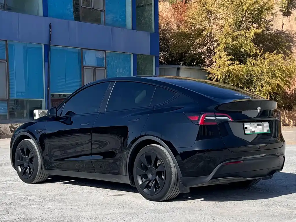 Tesla Model Y — фото 6