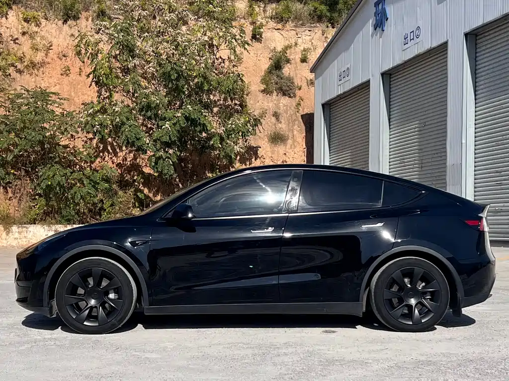 Tesla Model Y — фото 7