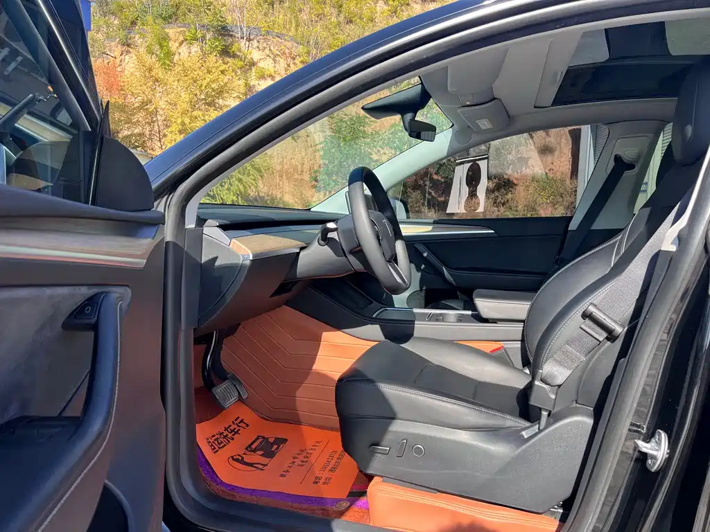 Tesla Model Y — фото 9