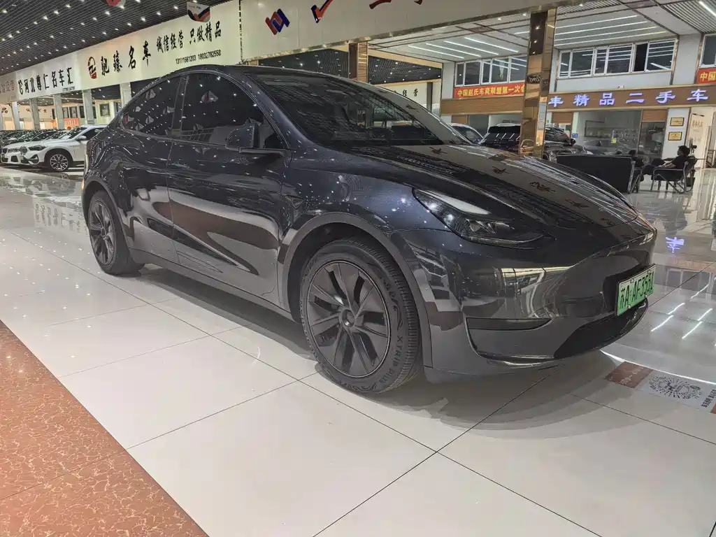 Tesla Model Y — фото 3