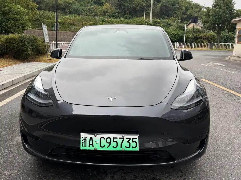 Tesla Model Y — фото 2