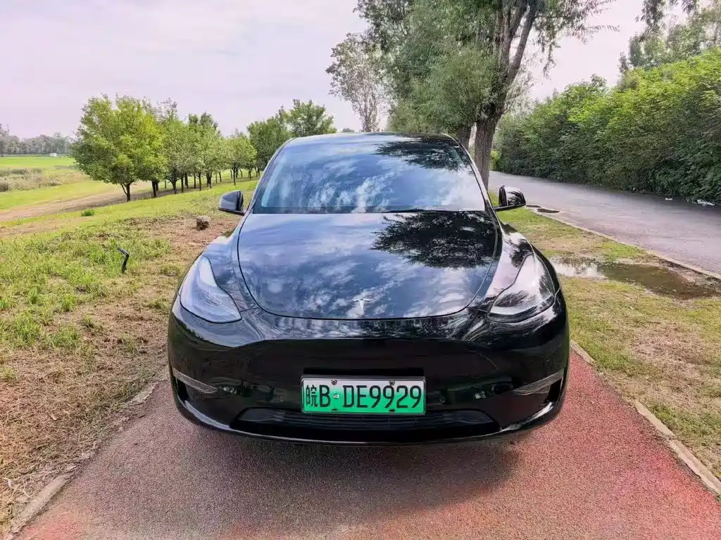 Tesla Model Y — фото 2
