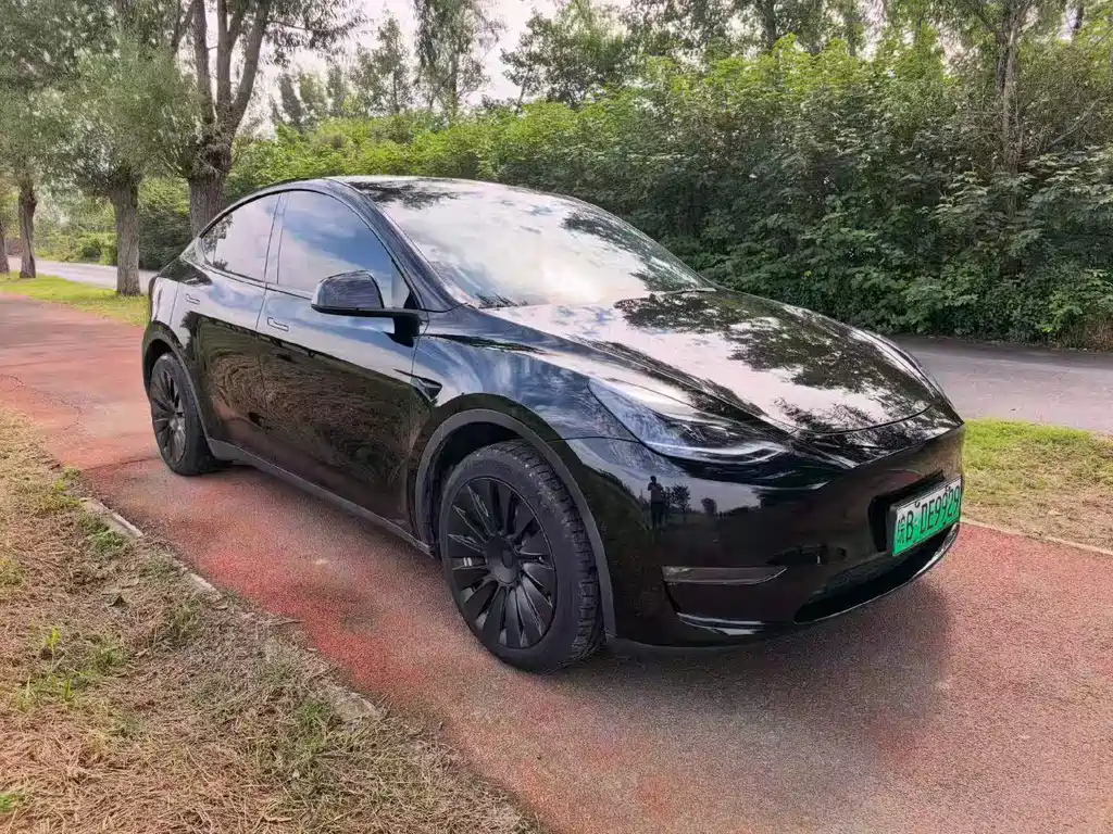 Tesla Model Y — фото 3
