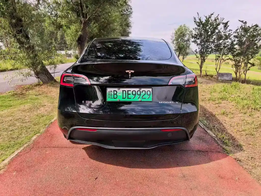 Tesla Model Y — фото 8