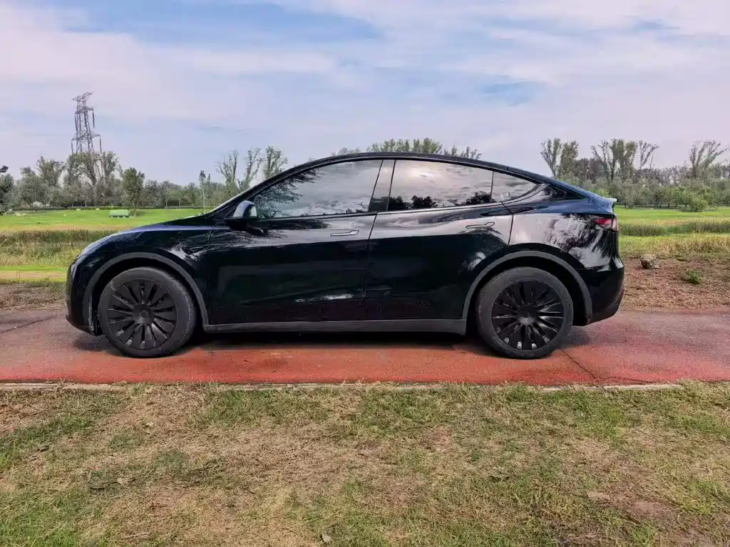 Tesla Model Y — фото 9