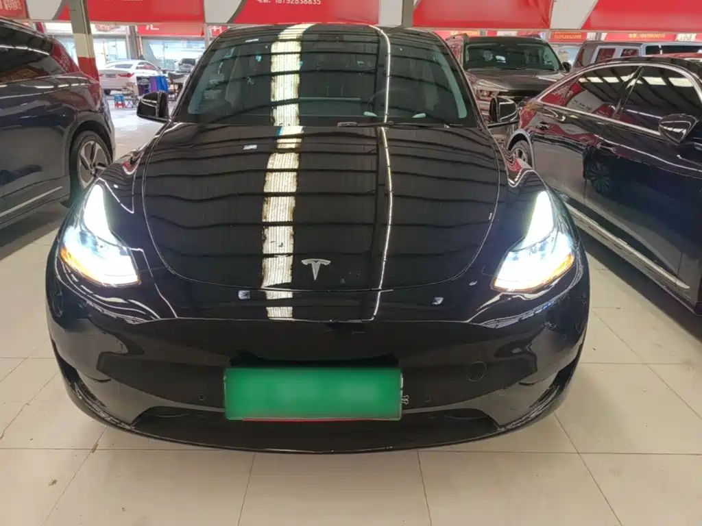 Tesla Model Y — фото 3