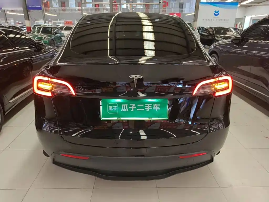 Tesla Model Y — фото 6