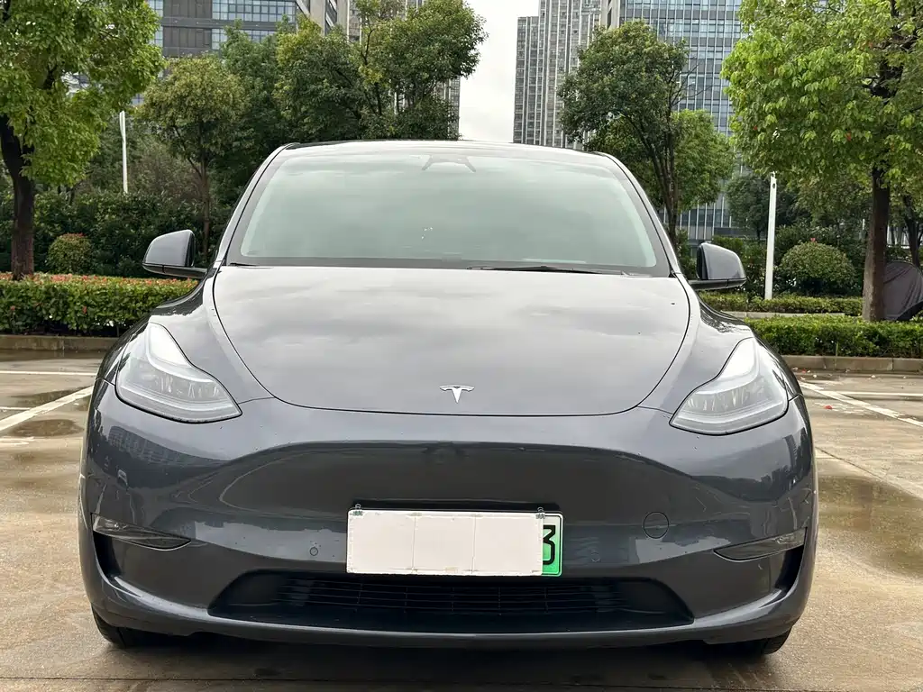 Tesla Model Y — фото 2