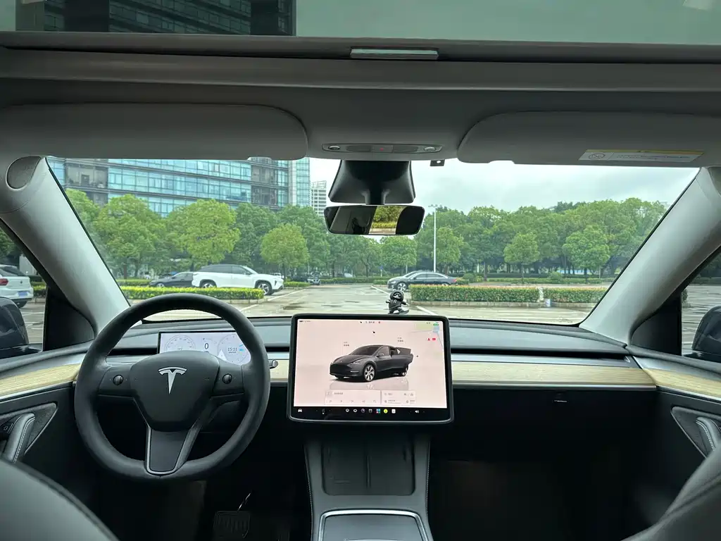 Tesla Model Y — фото 13