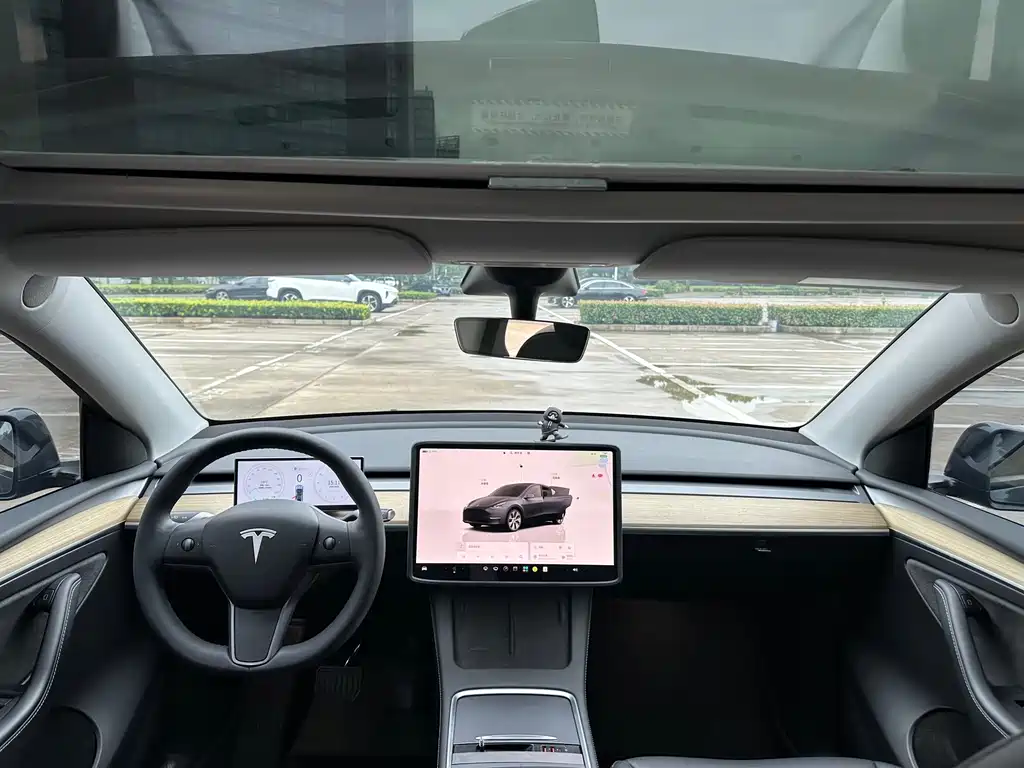 Tesla Model Y — фото 14