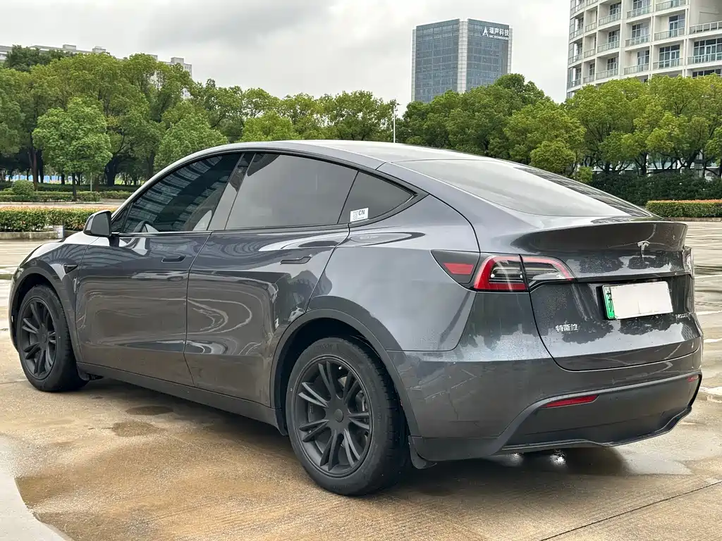 Tesla Model Y — фото 18