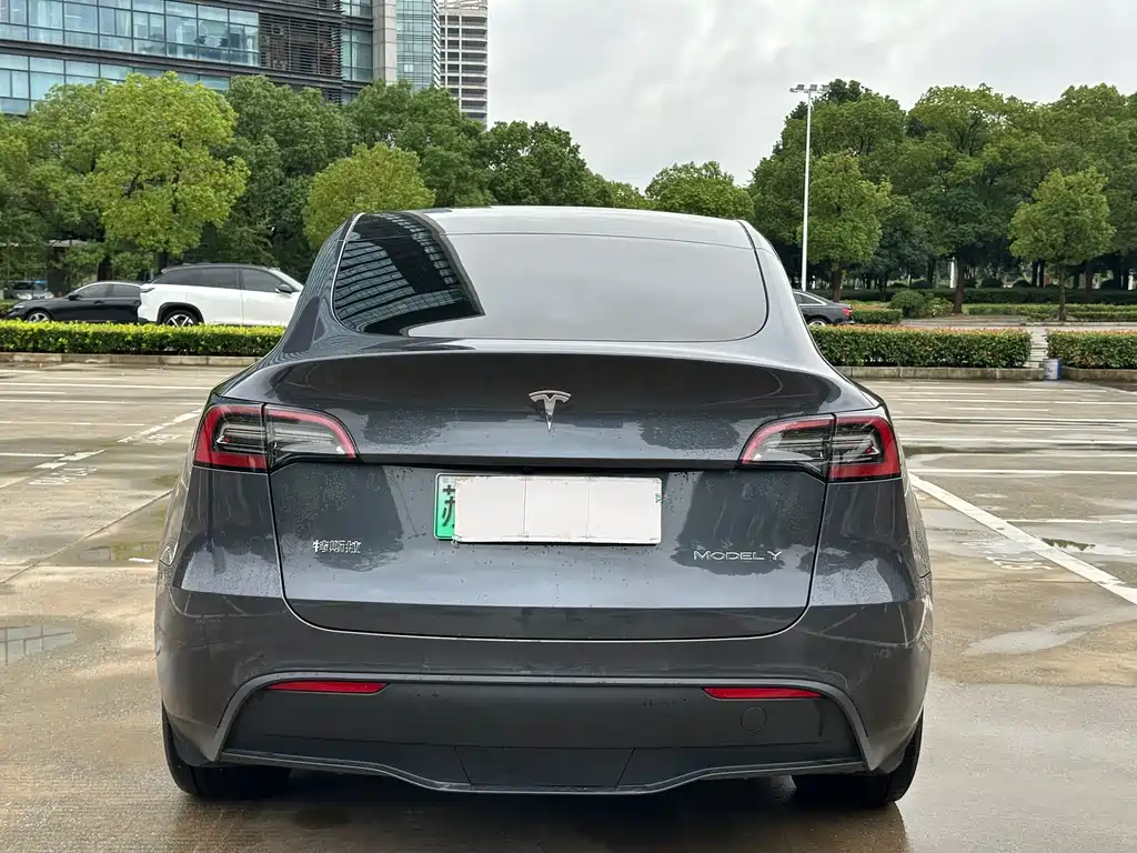 Tesla Model Y — фото 19