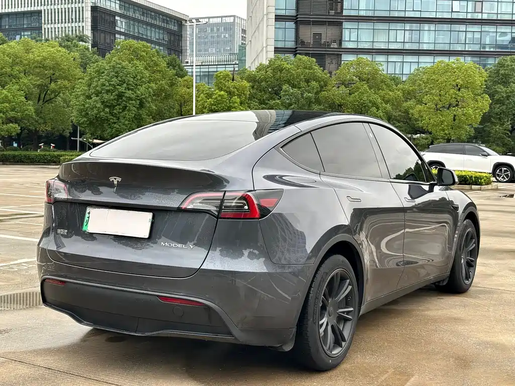 Tesla Model Y — фото 20