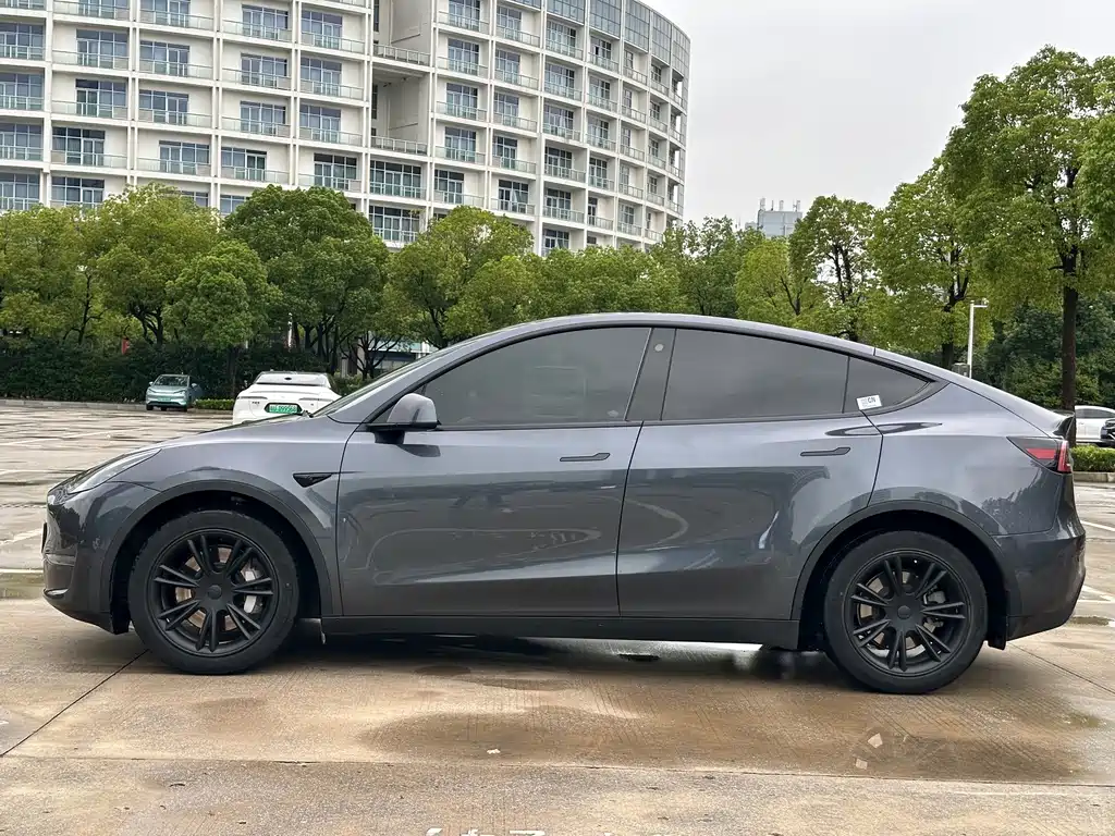 Tesla Model Y — фото 3