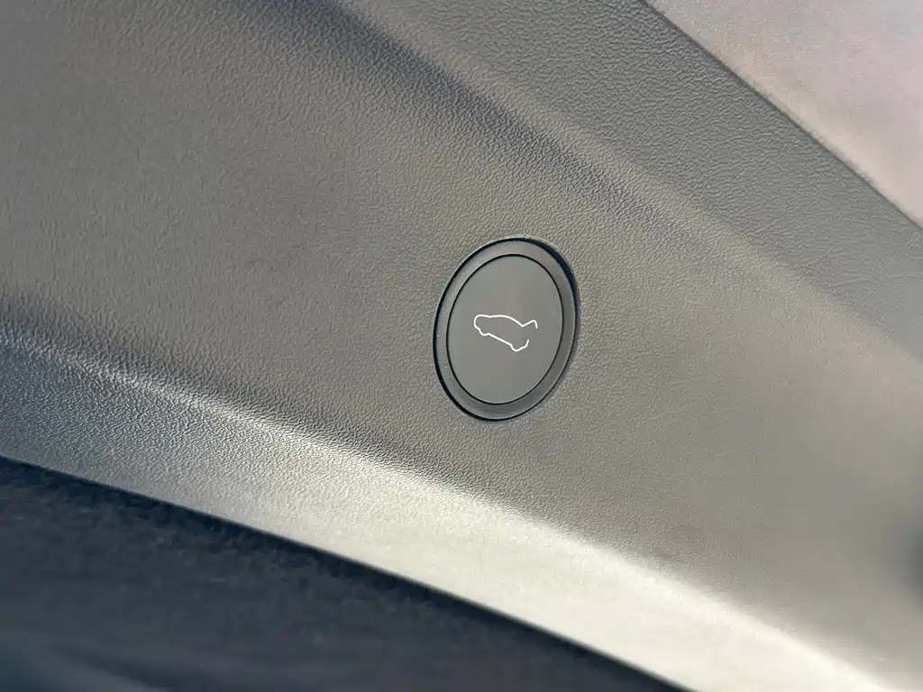 Tesla Model Y — фото 21