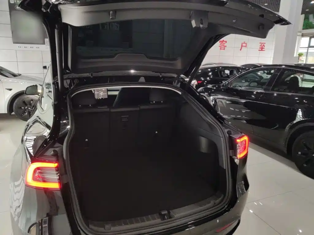 Tesla Model Y — фото 19