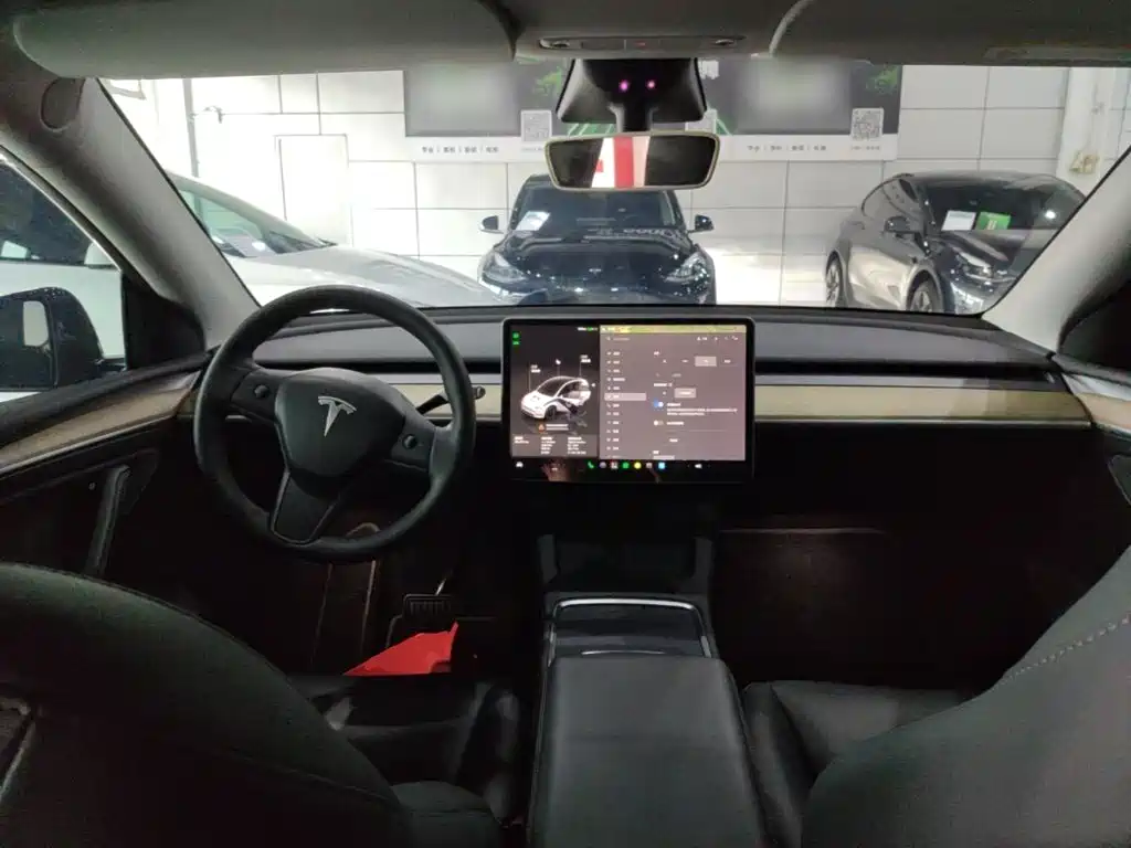 Tesla Model Y — фото 10