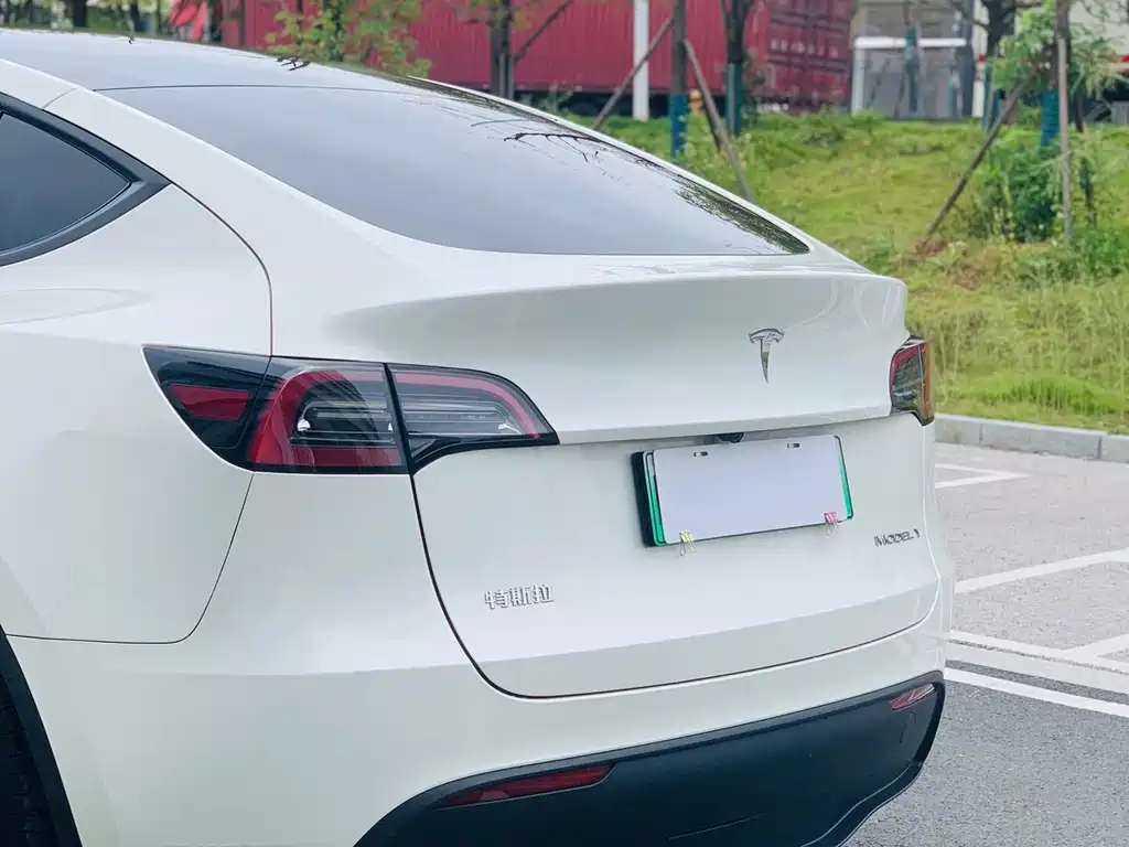 Tesla Model Y — фото 11