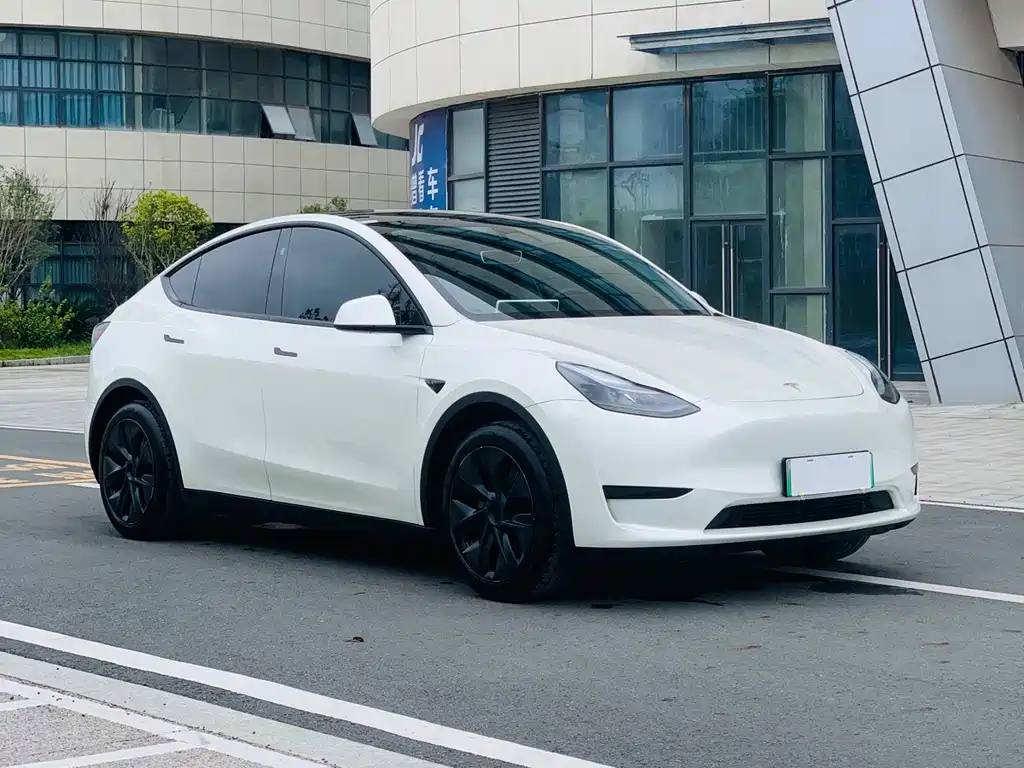 Tesla Model Y — фото 3