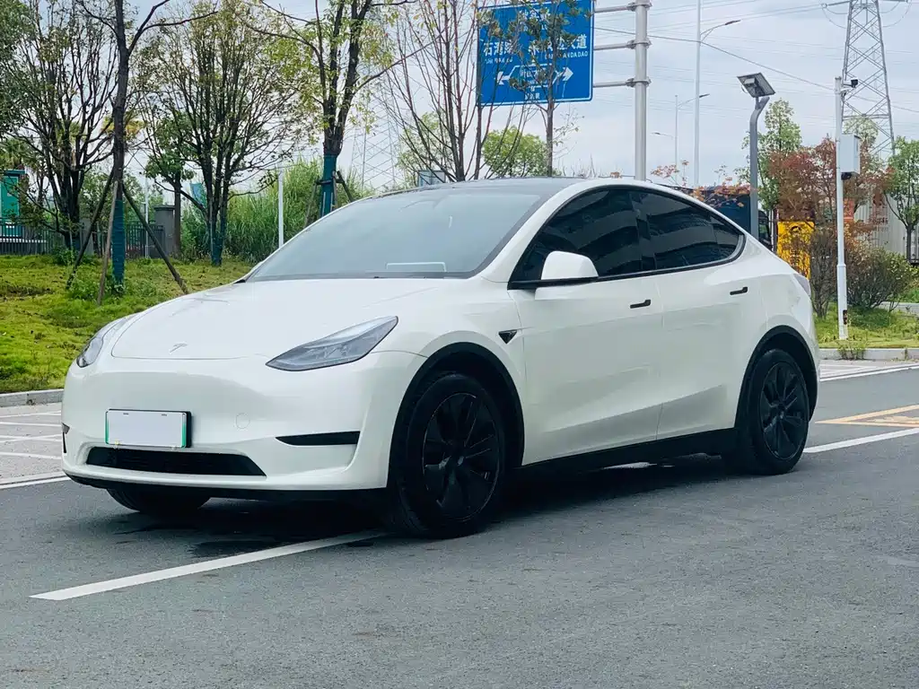 Tesla Model Y — фото 1