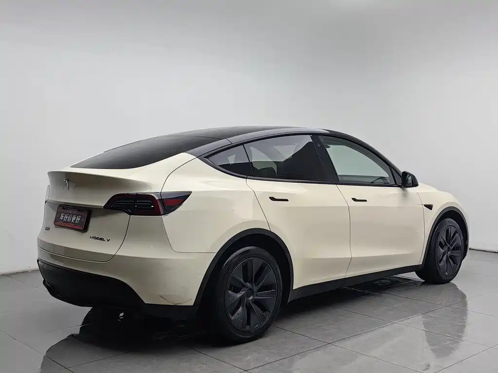 Tesla Model Y — фото 2