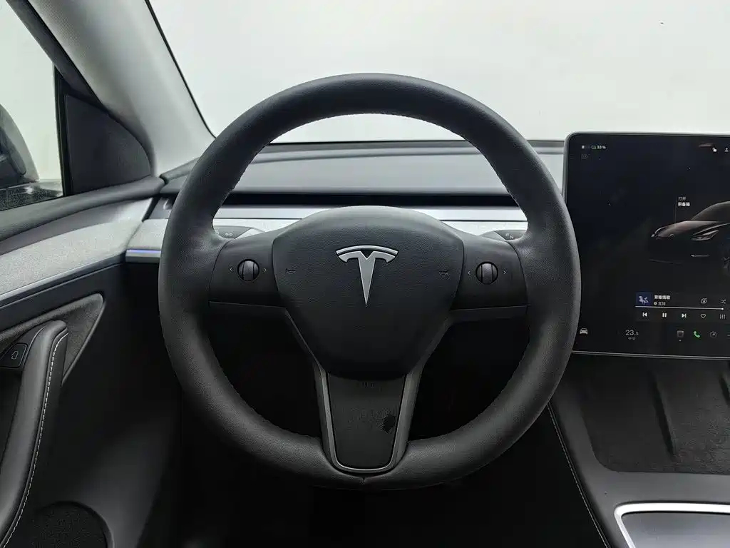 Tesla Model Y — фото 11