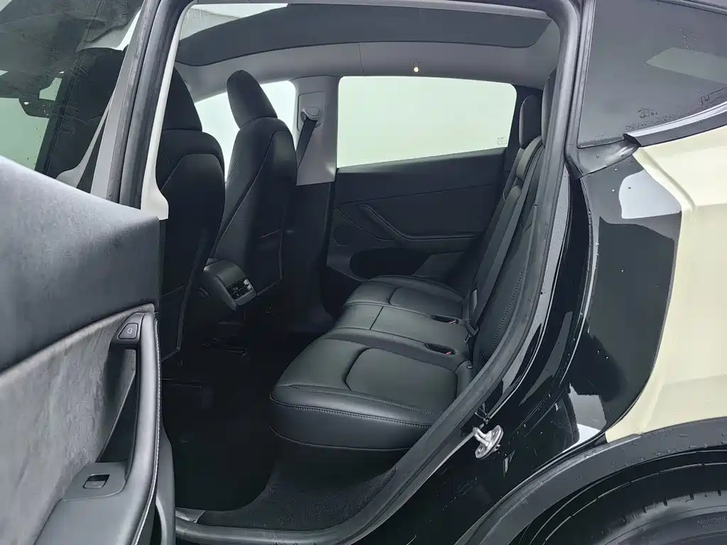 Tesla Model Y — фото 15