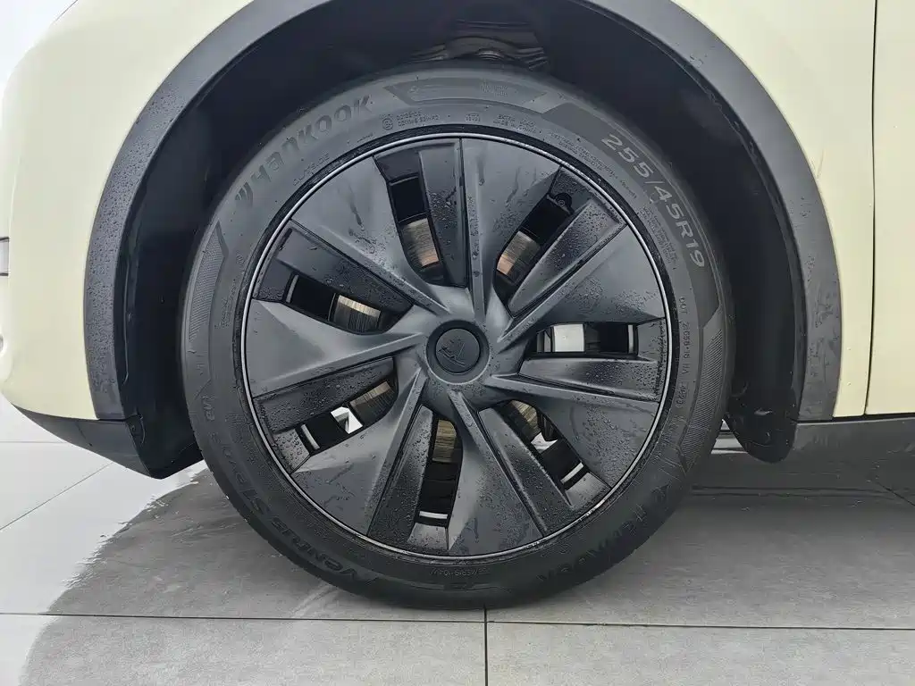 Tesla Model Y — фото 17