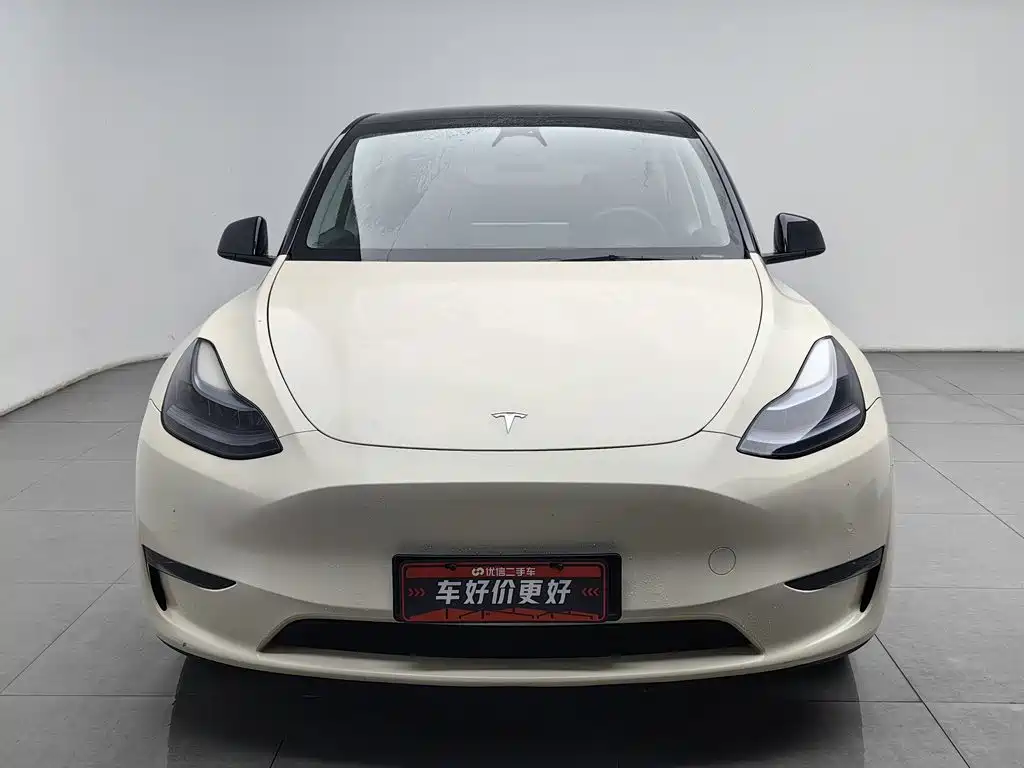 Tesla Model Y — фото 3