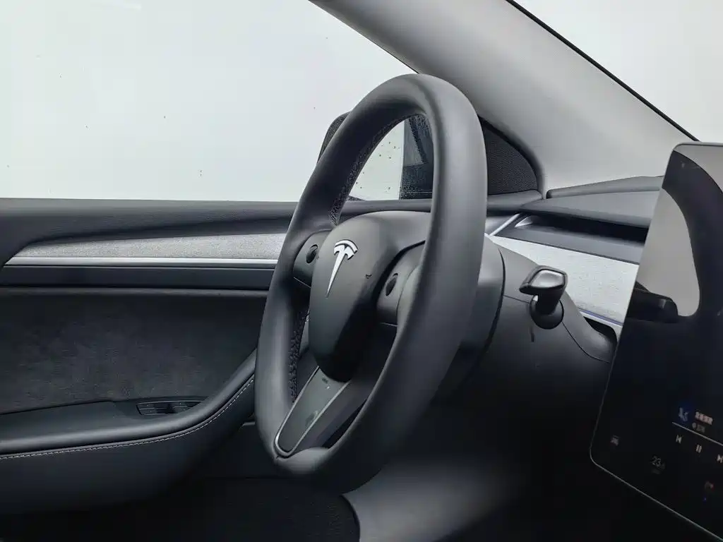 Tesla Model Y — фото 22