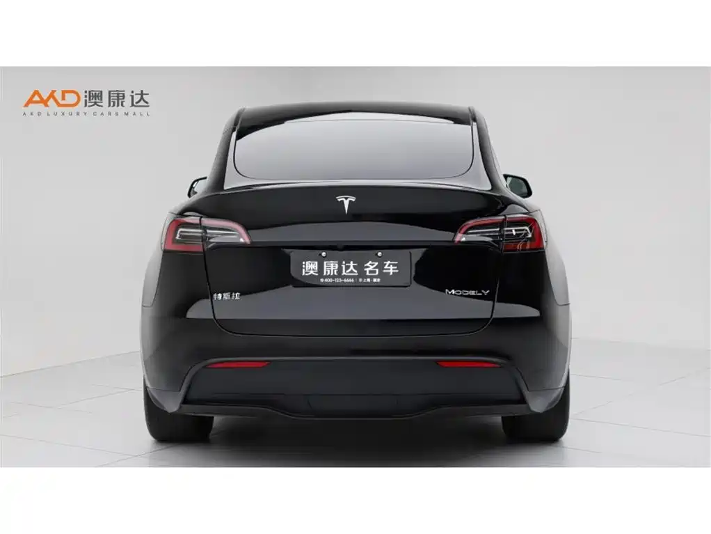 Tesla Model Y — фото 4