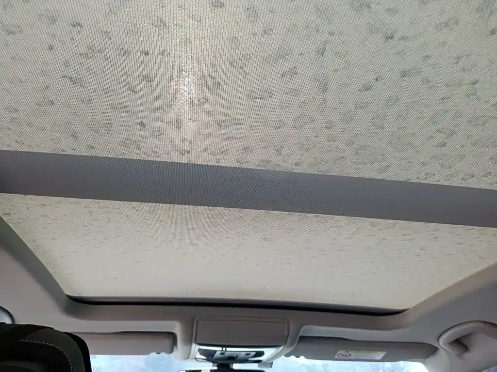 Volkswagen Passat — фото 9