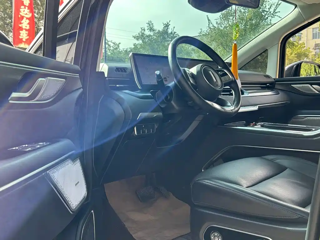 Wey Wey Gaoshan New Energy — фото 7