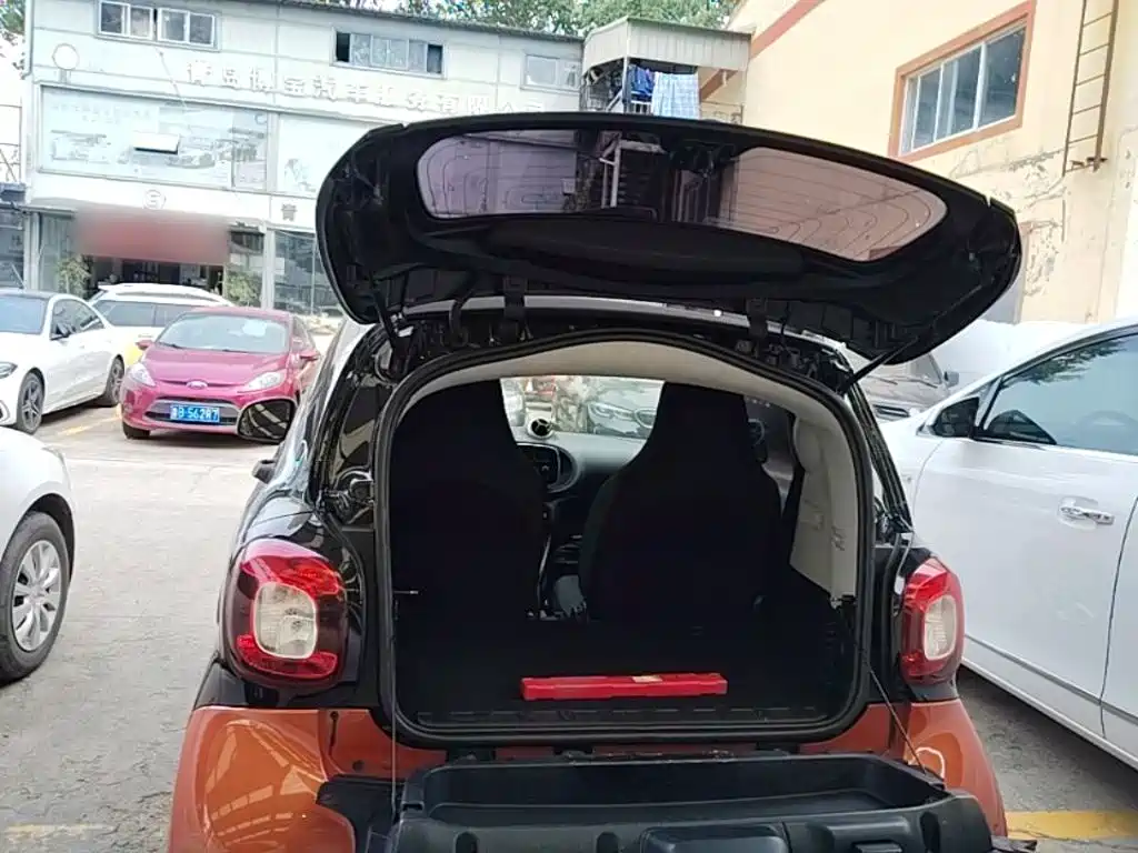 smart Smart Fortwo — фото 19