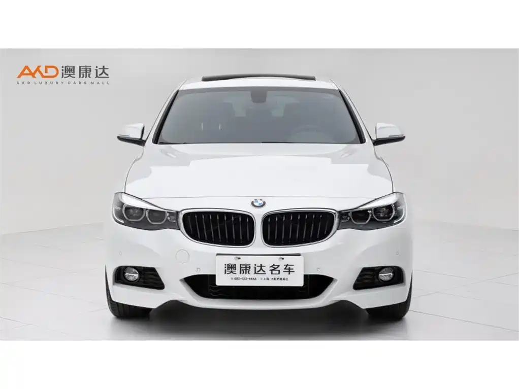 BMW 3 Series GT — фото 2
