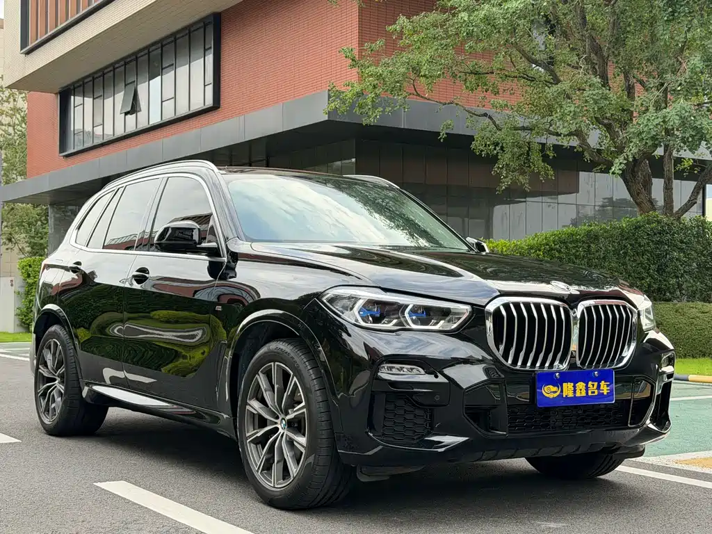 BMW X5 (Import) — фото 9