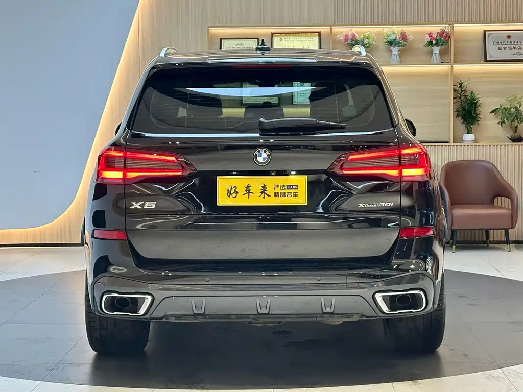 BMW X5 (Import) — фото 3