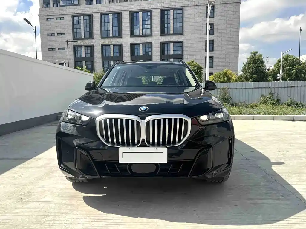 BMW X5 — фото 2