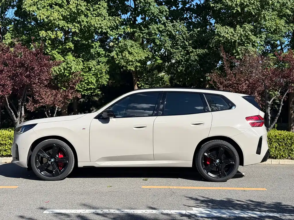 BMW X3 M50 — фото 2