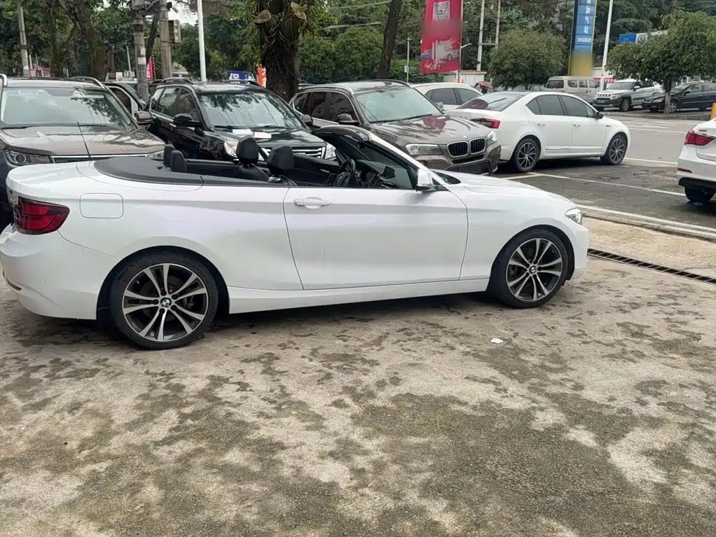 BMW 2 Series (Import) — фото 3
