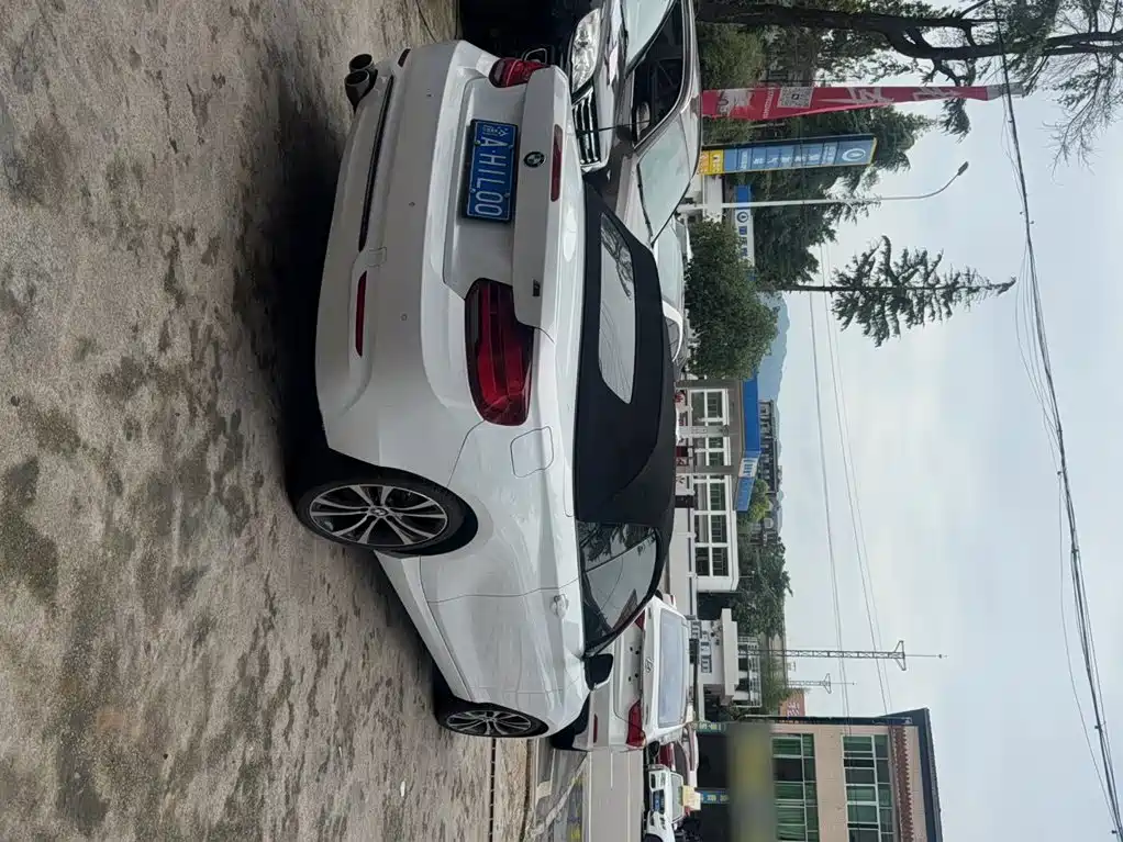BMW 2 Series (Import) — фото 9