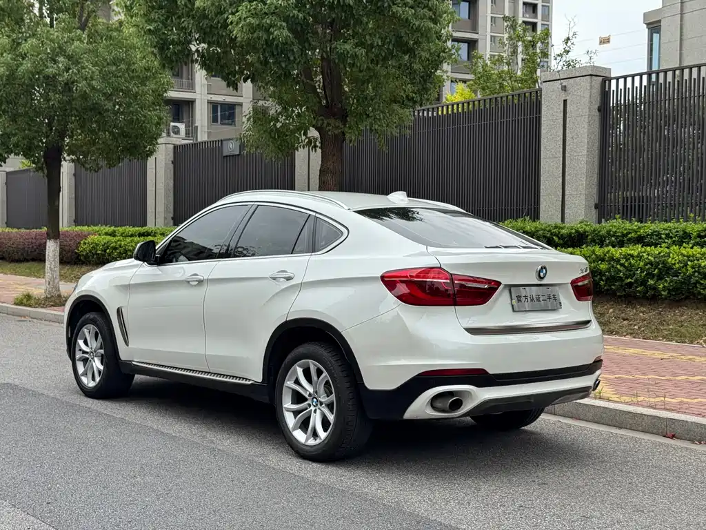 BMW X6 — фото 10