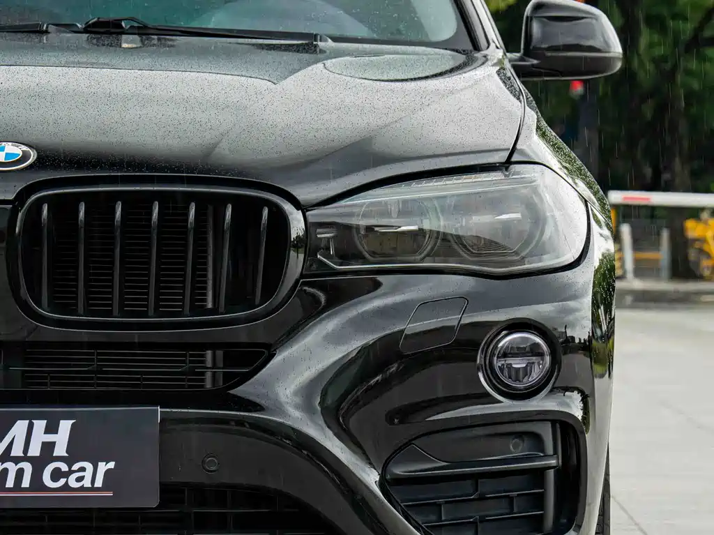 BMW X6 — фото 3