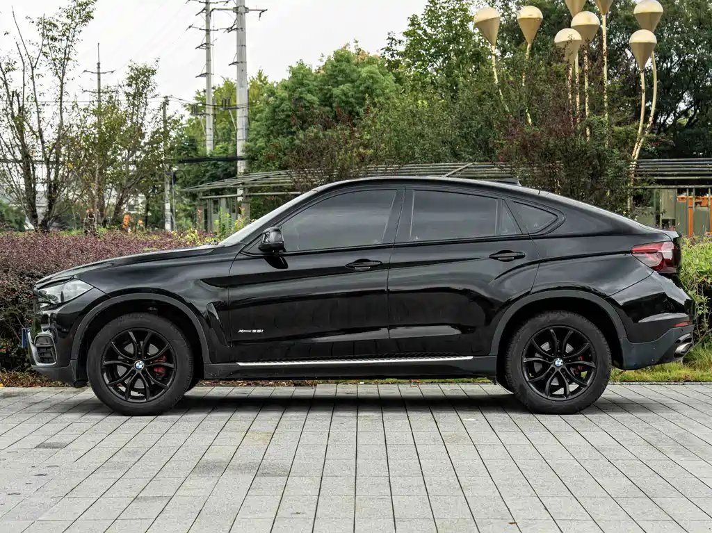 BMW X6 — фото 7
