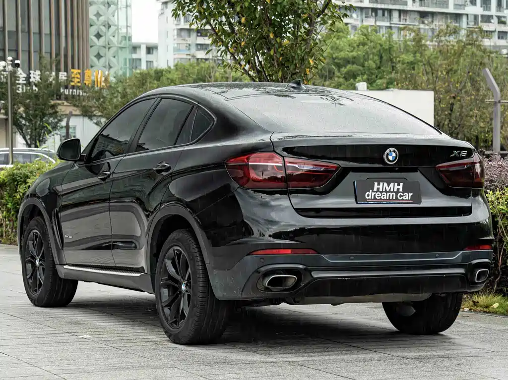 BMW X6 — фото 10